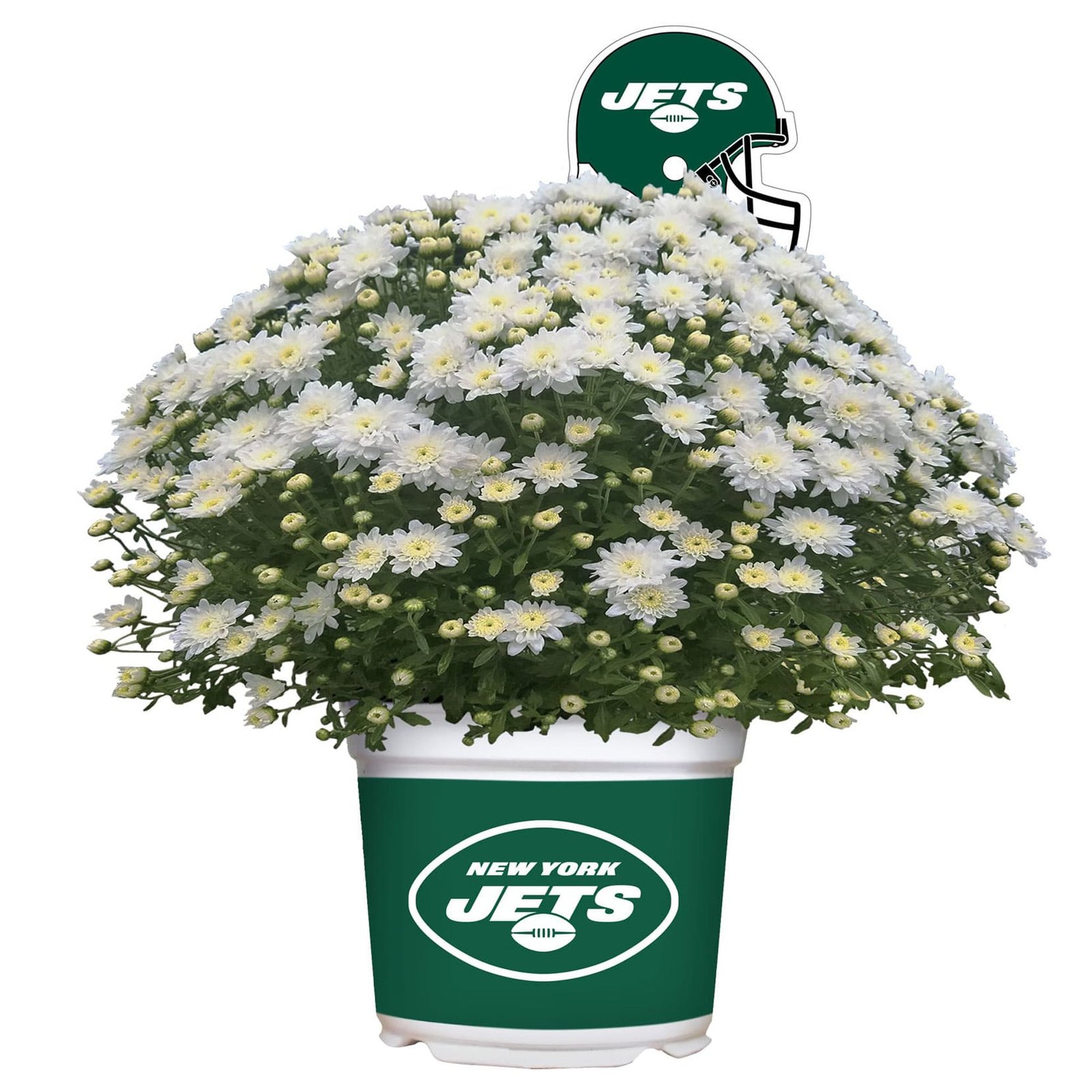 New York Jets Team Color Mum