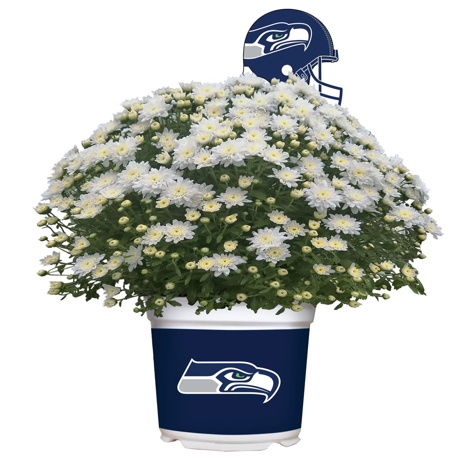 Seattle Seahawks Team Color Mum
